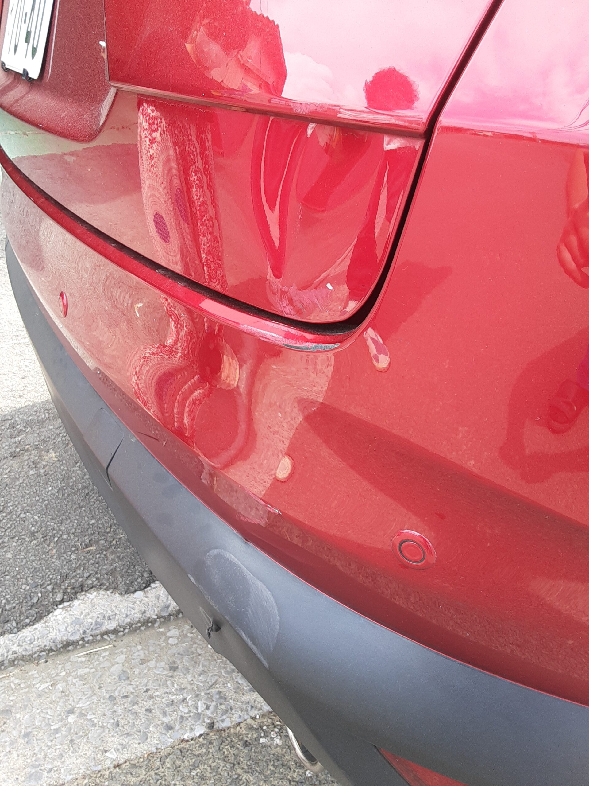 ぱんだ様確認用 20220927_115725-scaled.jpg